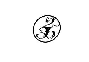 236&Co. logo