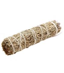 Blue Sage 4 in.