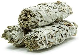 White Sage 4 in.